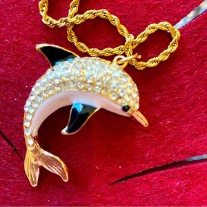 Brand new, sweet, dolphin, swimming over to you.